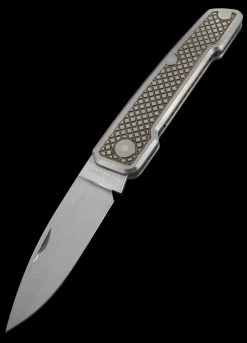 W.F. Steenkamp Custom Pointer Titanium