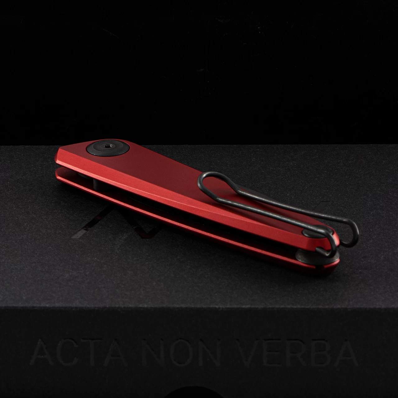 Acta Non Verba Z050 DLC 5 Acta Non Verba Z050 DLC - Image 3