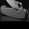 Titech Spyderco PM2 Stone Washed Titanium Scales -Outdoor Products Sale HH SC SW P2.3 41263.1635785472